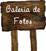 Conhe�a nossa galeria de fotos